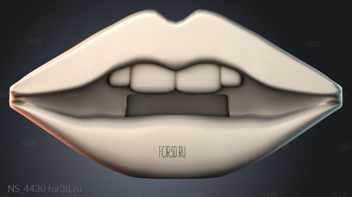 NS_4430 3d stl модель для ЧПУ