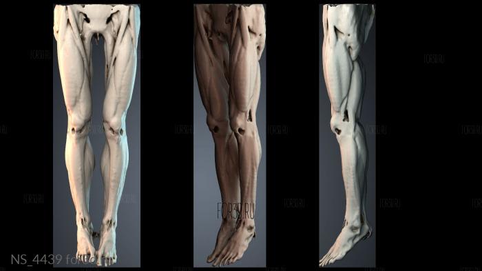 NS_4439 3d stl модель для ЧПУ