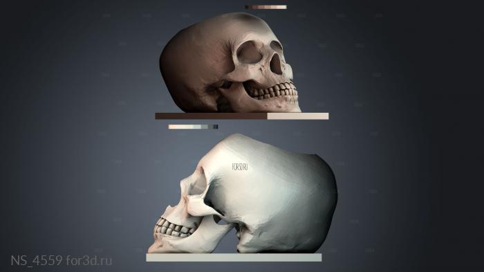 NS_4559 3d stl модель для ЧПУ