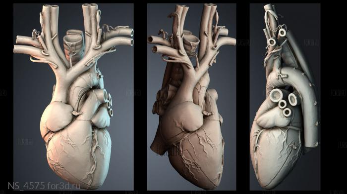 NS_4575 3d stl модель для ЧПУ