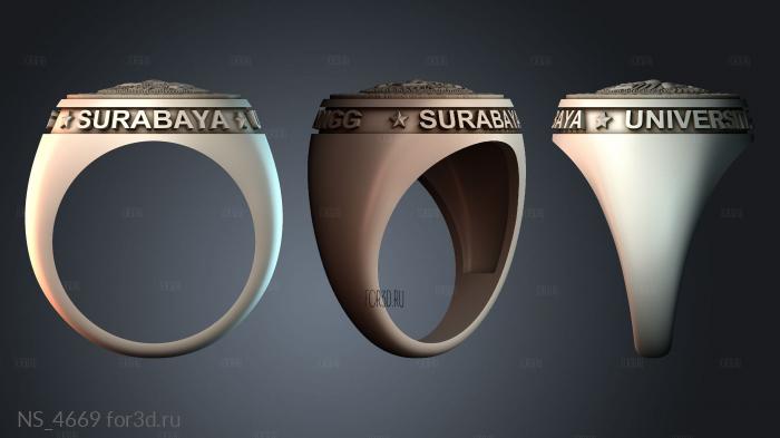 NS_4669 3d stl модель для ЧПУ