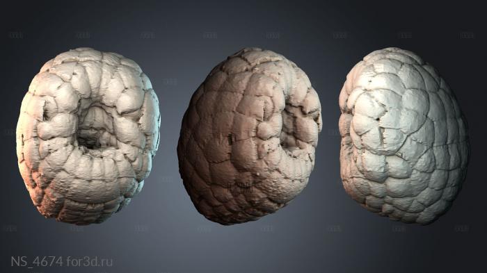 NS_4674 3d stl модель для ЧПУ