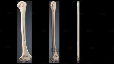 NJ_0950 3d stl модель для ЧПУ