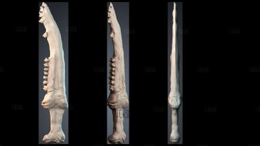 NJ_1204 stl model for CNC