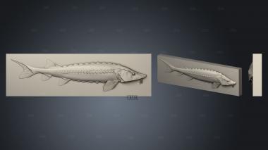 Панно рыбка Осетр 3d stl модель для ЧПУ