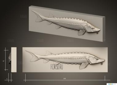 Панно рыбка Осетр 3d stl модель для ЧПУ