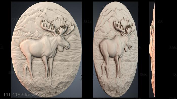 PH_1189 3d stl for CNC