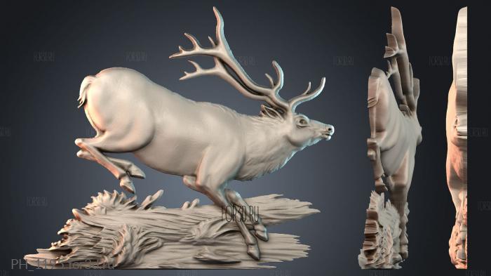 PH_1195 3d stl for CNC