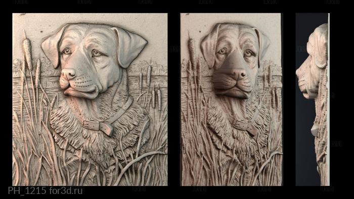 PH_1215 3d stl for CNC