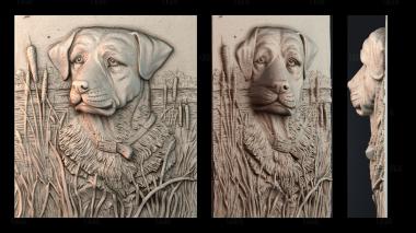 PH_1215 stl model for CNC