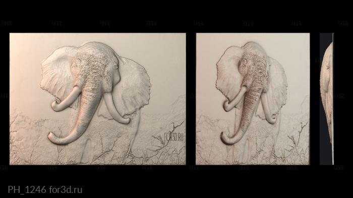 PH_1246 3d stl for CNC