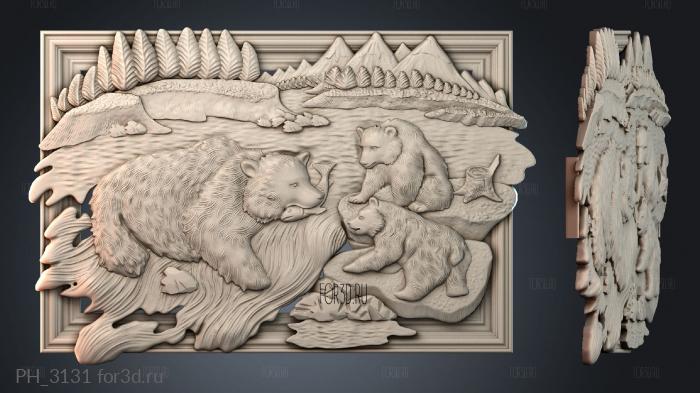 PH_3131 3d stl for CNC