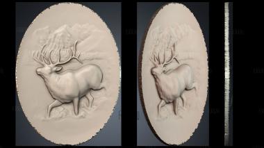 PH_3296 stl model for CNC