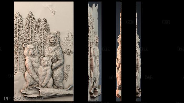 PH_3373 3d stl for CNC