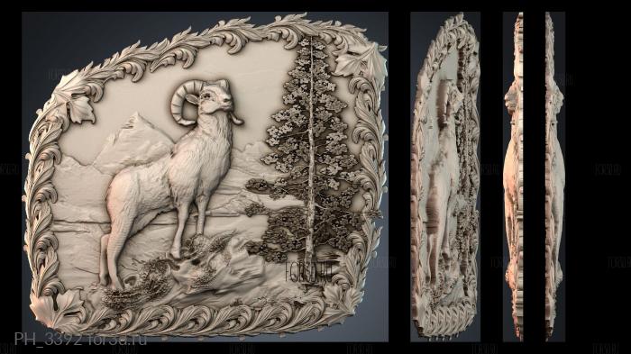 PH_3392 3d stl for CNC