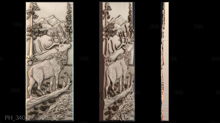 PH_3402 3d stl for CNC