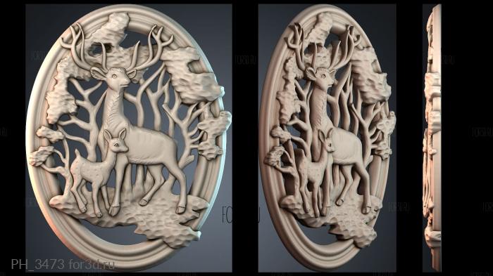 PH_3473 3d stl for CNC