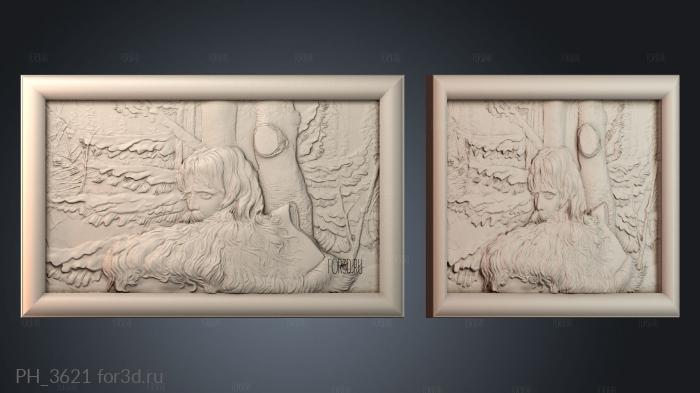 PH_3621 3d stl for CNC