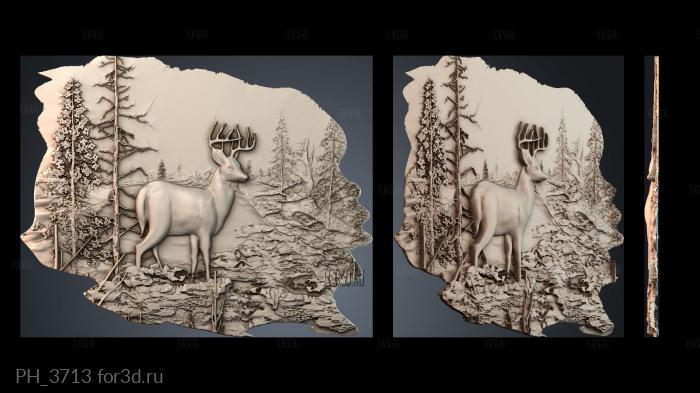 PH_3713 3d stl for CNC