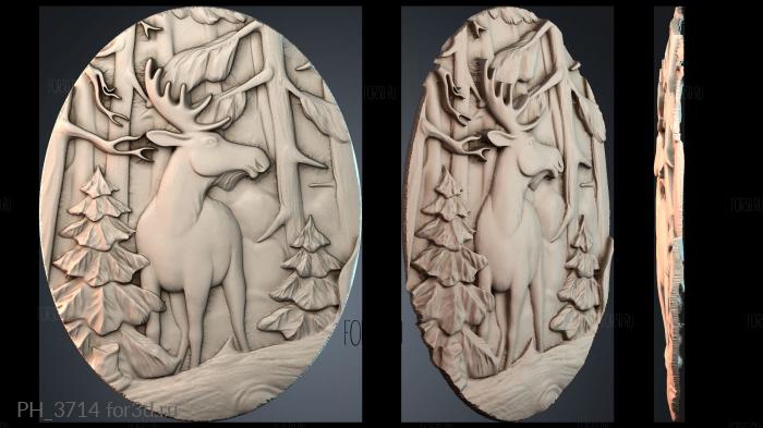 PH_3714 3d stl for CNC