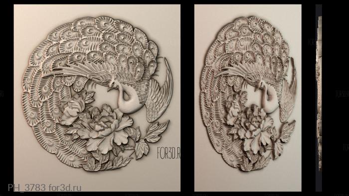 PH_3783 3d stl for CNC