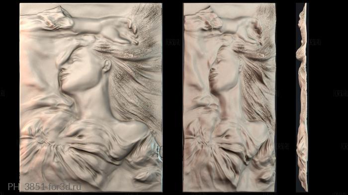 PH_3851 3d stl for CNC