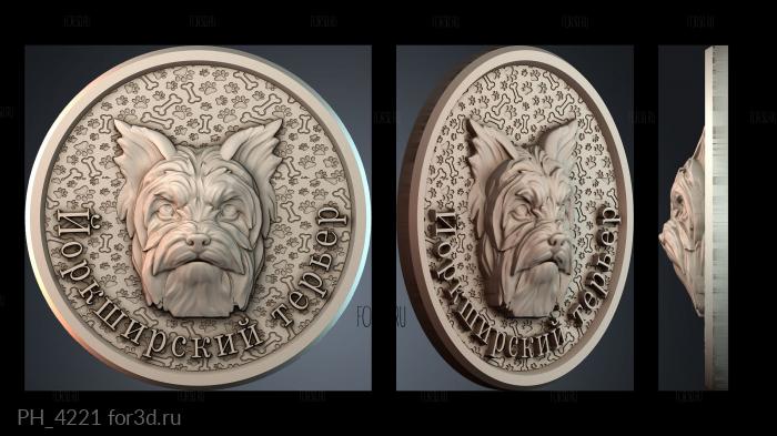 PH_4221 3d stl for CNC