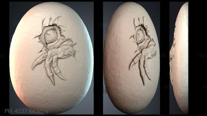 PH_4237 3d stl for CNC