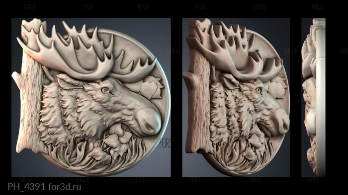 PH_4391 3d stl for CNC