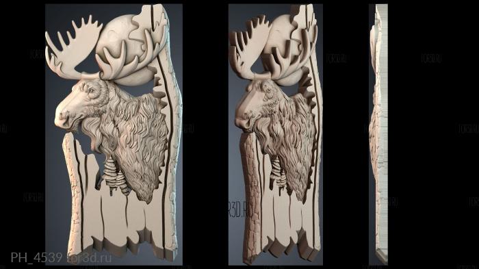 PH_4539 3d stl for CNC