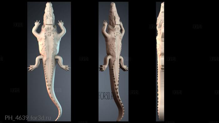 PH_4639 3d stl for CNC