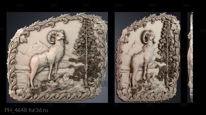 PH_4648 3d stl for CNC