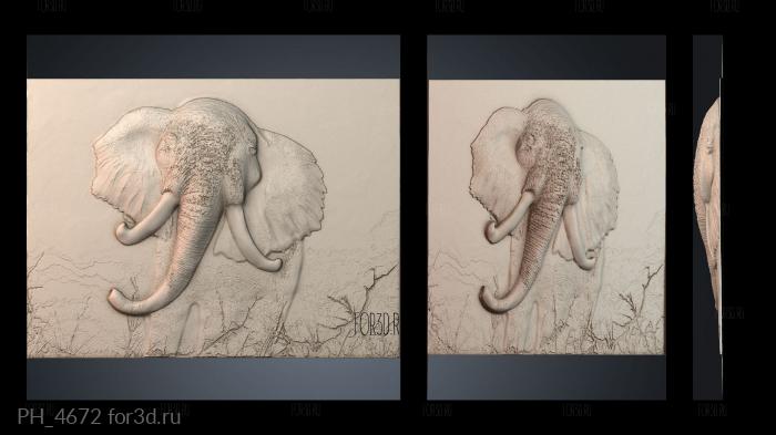 PH_4672 3d stl for CNC