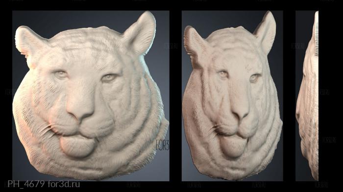 PH_4679 3d stl for CNC