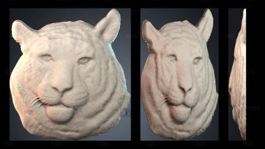 PH_4679 stl model for CNC