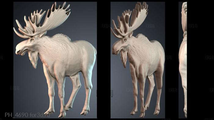 PH_4690 3d stl for CNC