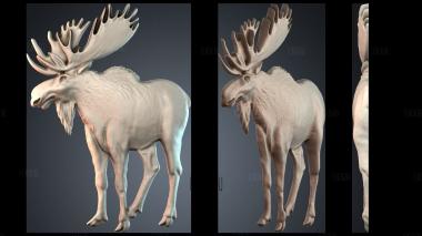 PH_4690 stl model for CNC