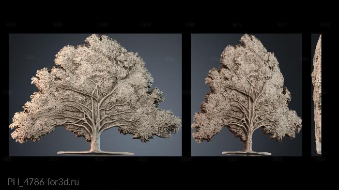 PH_4786 3d stl for CNC