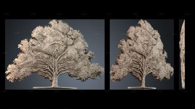 PH_4786 stl model for CNC