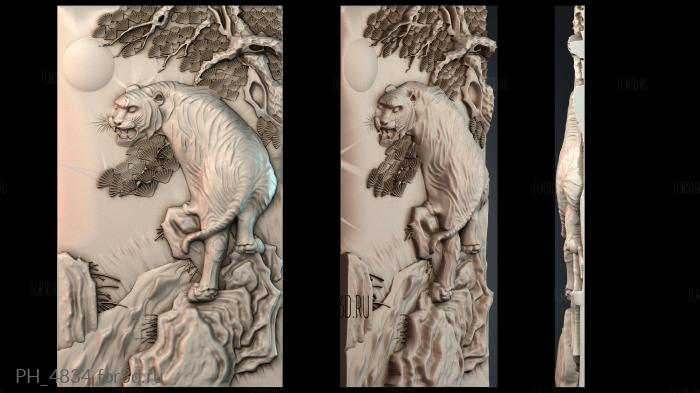 PH_4834 3d stl for CNC