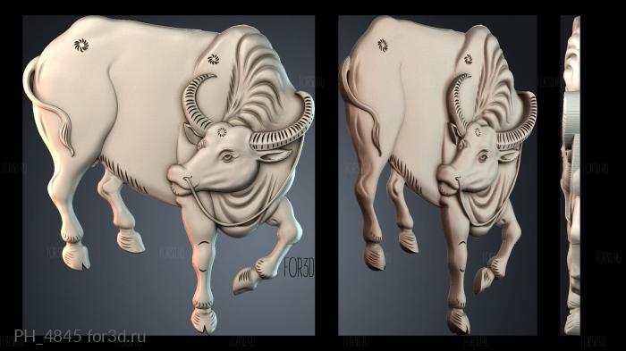 PH_4845 3d stl for CNC