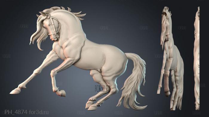 PH_4874 3d stl for CNC