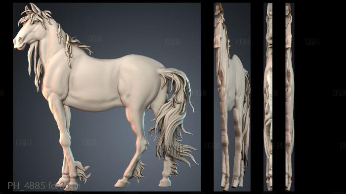 PH_4885 3d stl for CNC