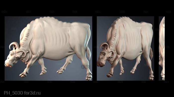 PH_5030 3d stl for CNC