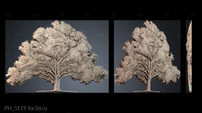 PH_5119 3d stl for CNC