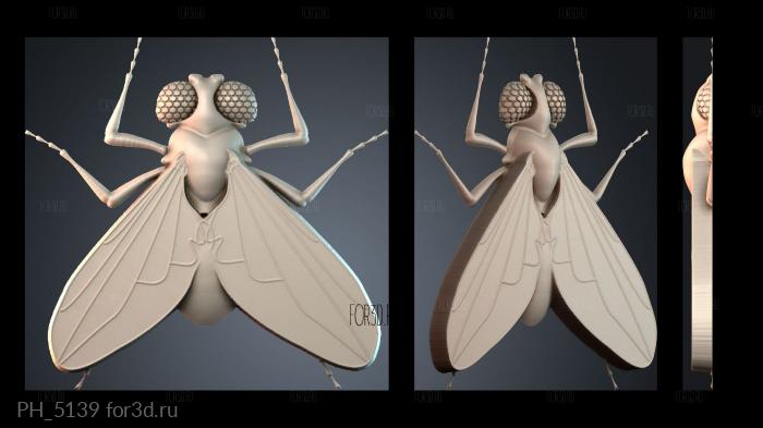 PH_5139 3d stl for CNC