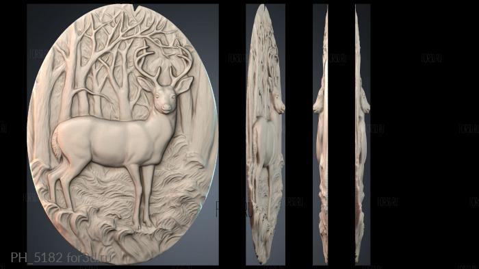 PH_5182 3d stl for CNC