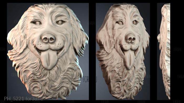 PH_5221 3d stl for CNC