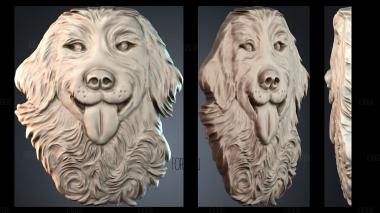 PH_5221 stl model for CNC