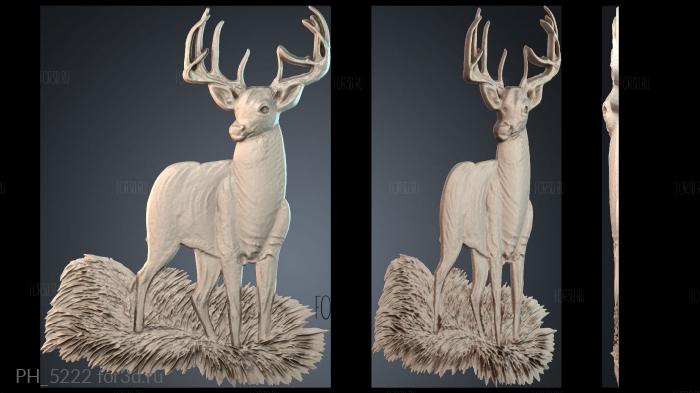 PH_5222 3d stl for CNC